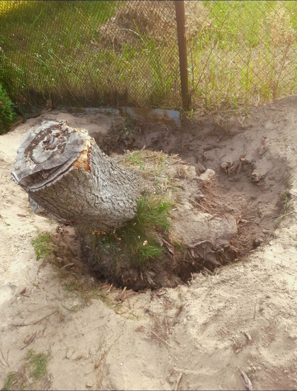 Фото виконаної роботи 7